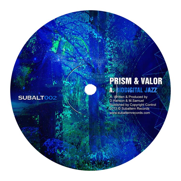 website-mockup-prism-valor-subaltern-Side-A-2